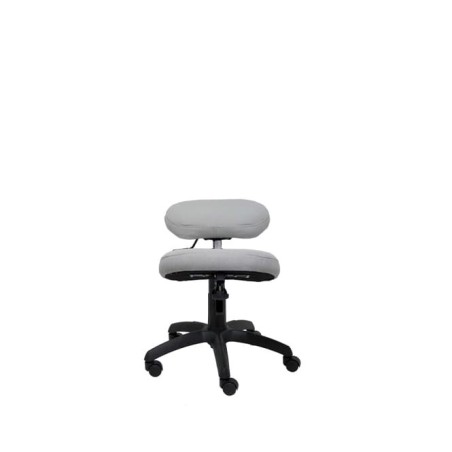 Silla operativa liétor