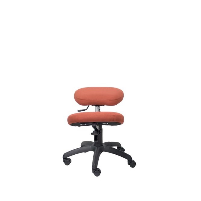 Silla operativa liétor
