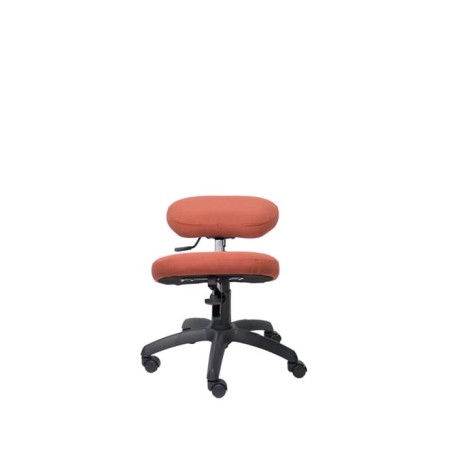 Silla operativa liétor