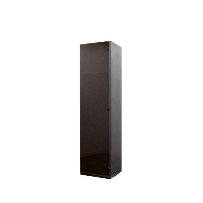 Armario perchero alto estrecho puertas cristal en gris grafito de 51cm