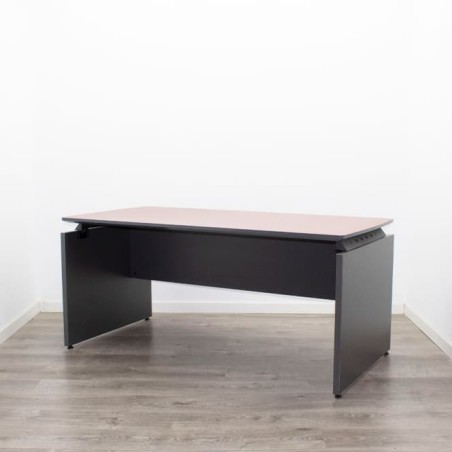 Mesa dirección en etimoe pata panel