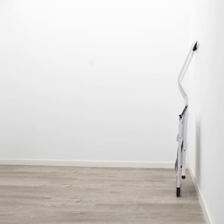 Escalera Metálica con dos peldaños
